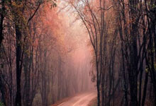 6T体育官网：英超：富勒姆以2比0 击败托特纳姆.