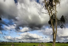 6T体育官网：[棋牌]西南棋王赛辜梓豪胜丁浩夺冠 感言主场夺冠很高兴.